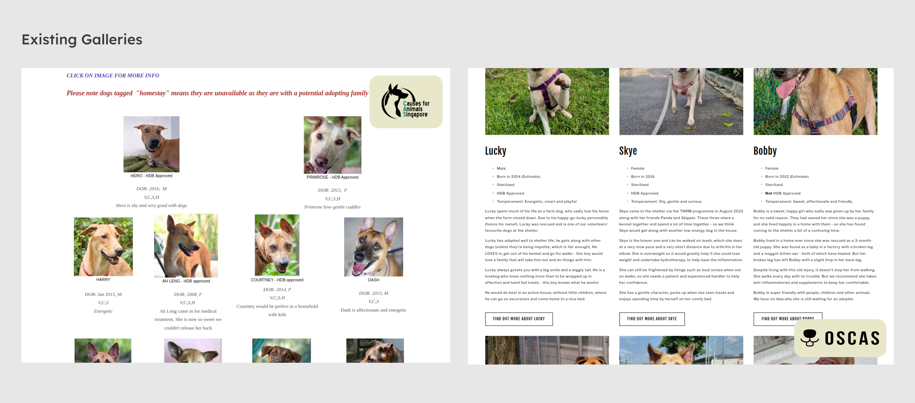 A photo collage of 2 existing dog galleries.